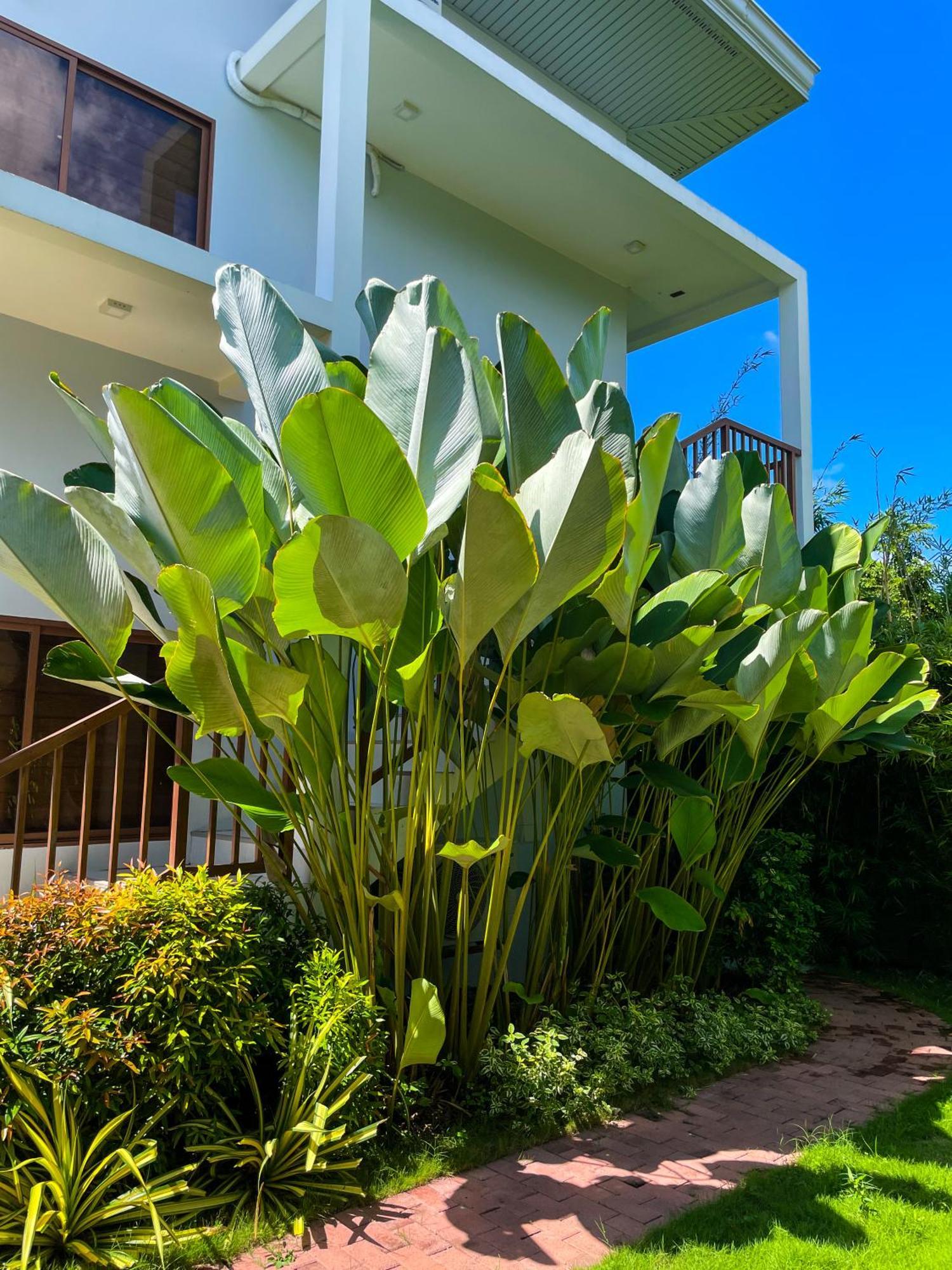 Red Picnic Hostel Panglao Extérieur photo